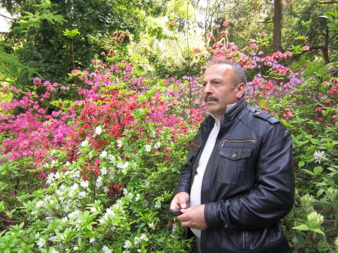 11157480 871499582919992 2743096286895666687 o